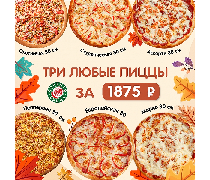 Три пиццы 30 см